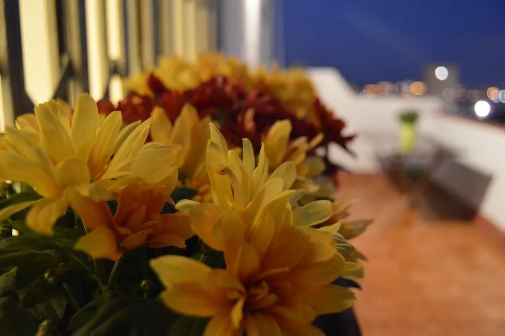 Apartment Pla Dels Cirerers Βαρκελώνη 0*,